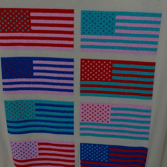 Wildfox Couture S Pop Americana Flag Print Beach Jumper Sweatshirt Retro Graphic - Picture 5 of 11